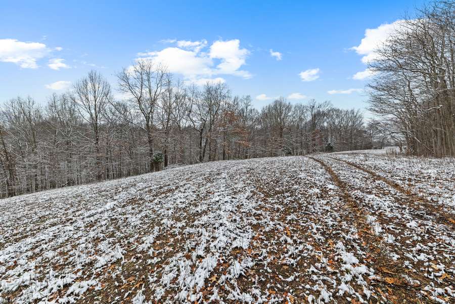 27-0 Waggener Ch-Chalbeate Rd Clay KY 42404_20251203_027.jpg